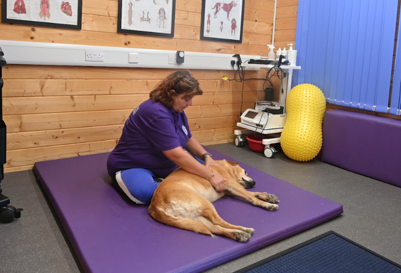 Myotherapy