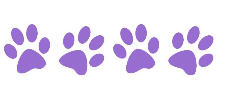 graphic divide