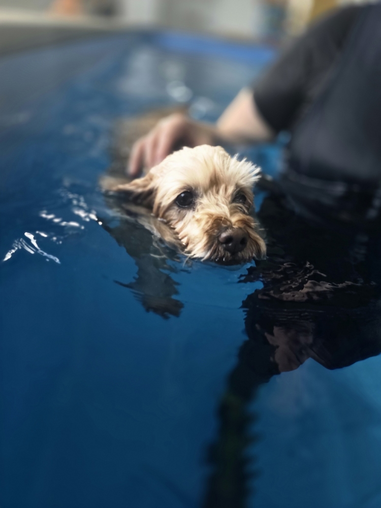 Image from Crumble’s Owner, Georgie Brooks